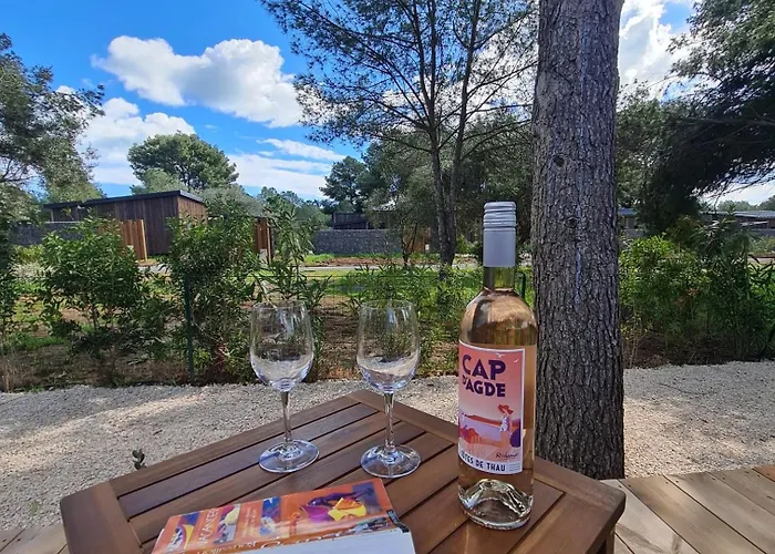 De Prestige A Agde, Privee Avec Et Piscines Proche Plages Agde